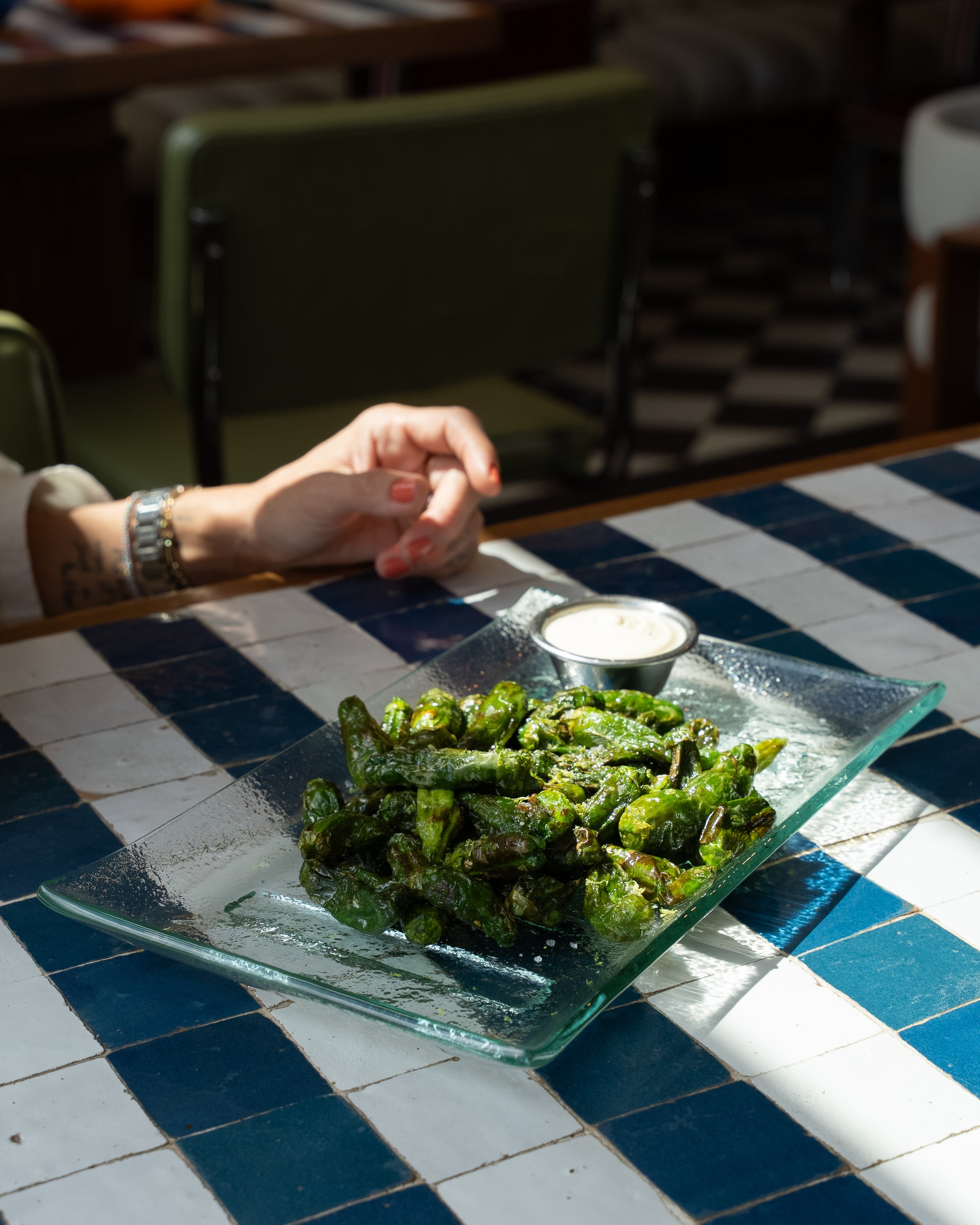 WILMA Cam Tabak (16.5x28cm)